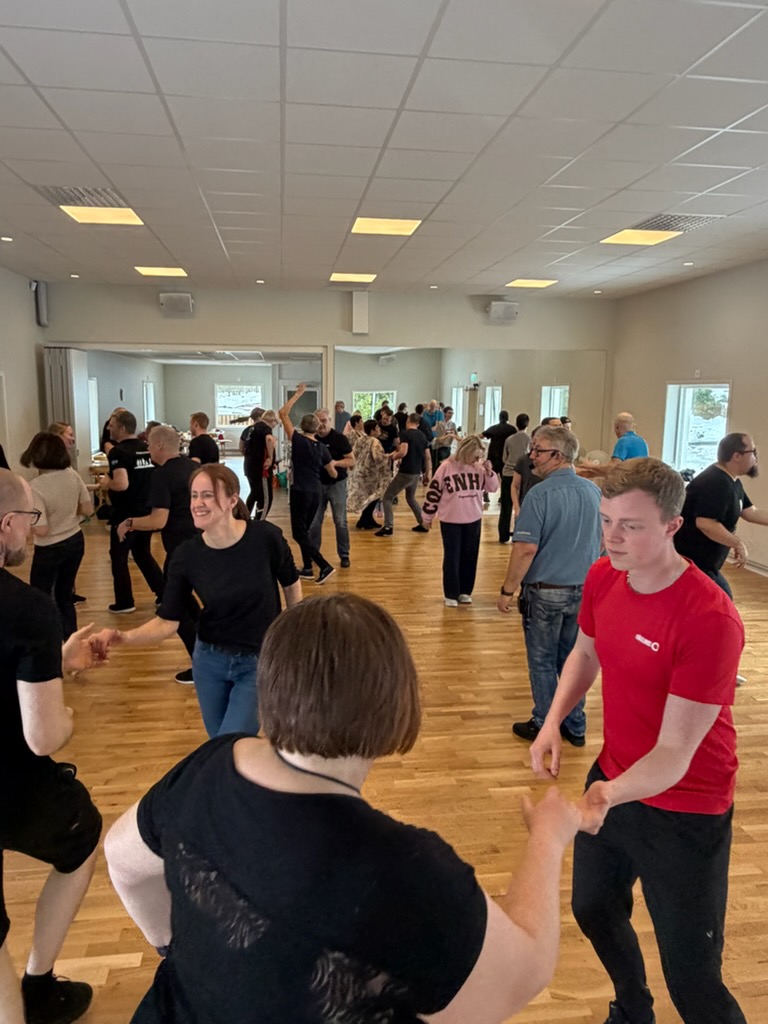 Härlig buggdag med Dansfirman!